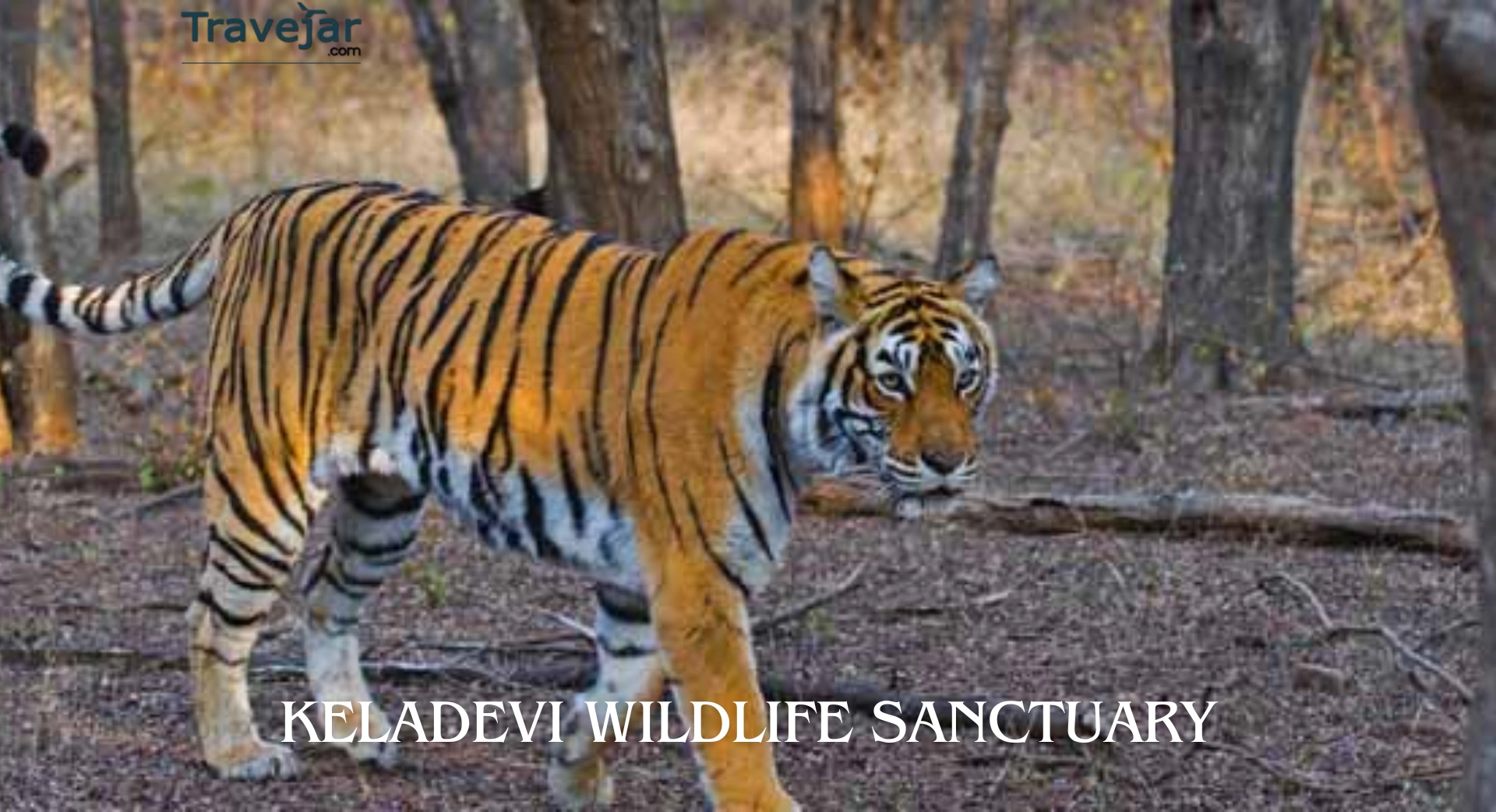 Keladevi Wildlife Sanctuary